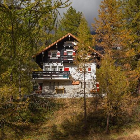 I Larici - Appartamento Per Sognare Alpe Devero Exteriér fotografie