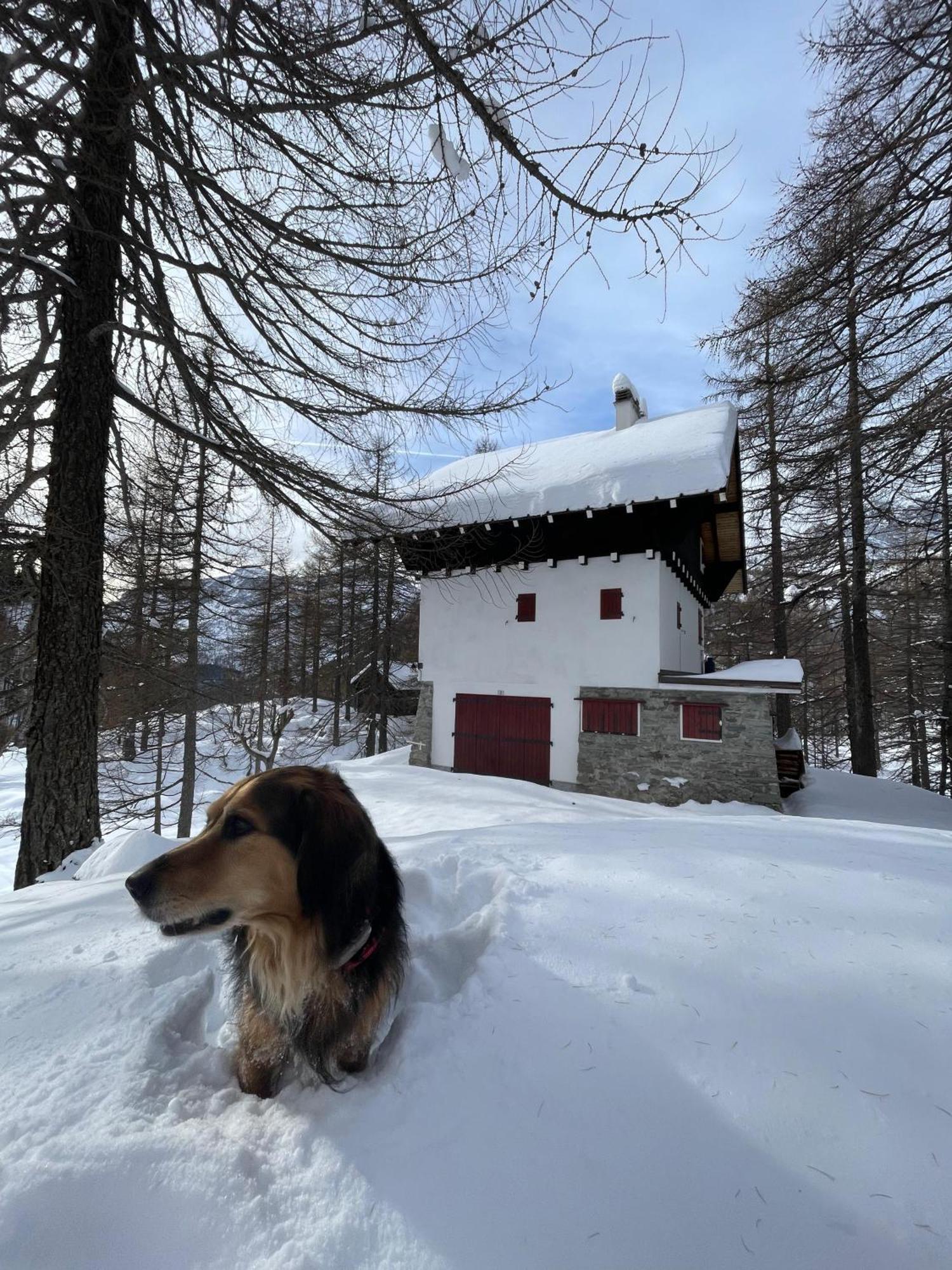 I Larici - Appartamento Per Sognare Alpe Devero Exteriér fotografie